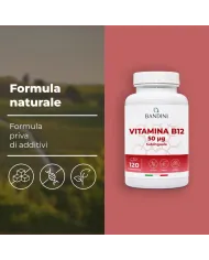 Vitamina B12 sublinguale - 120 compresse